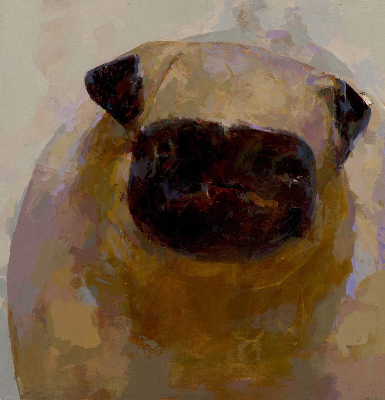 Pug